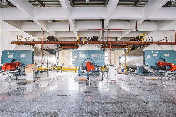 生物質(zhì)循環(huán)流化床鍋爐