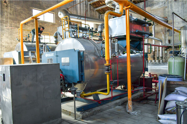 新疆生物質鍋爐廠家