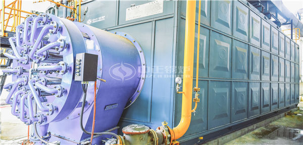 25t/h生物質鍋爐