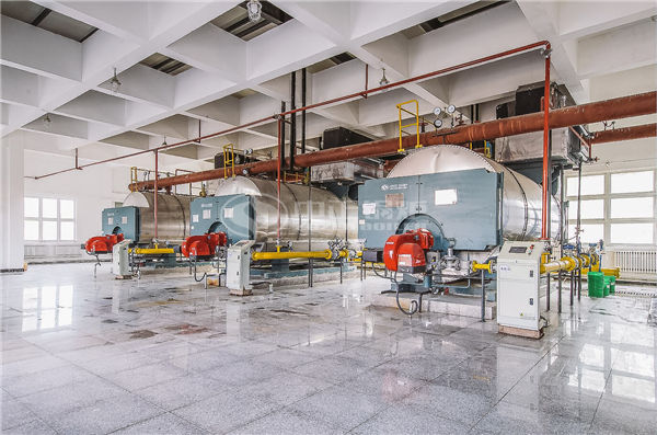 75t/h循環(huán)流化床鍋爐