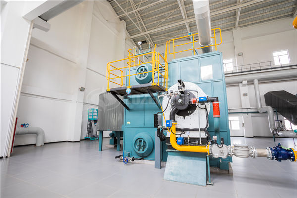 真空燃?xì)鉄崴畽C(jī)組生產(chǎn)廠家