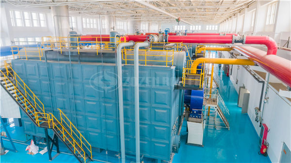 wns21.25q燃?xì)庹羝仩t