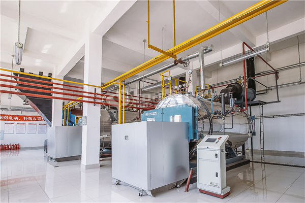 松原江南燃煤鍋爐超低排項目