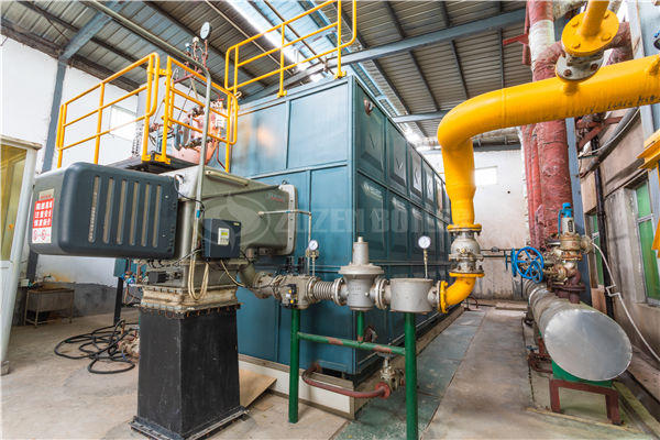 中小型化工廠6噸燃?xì)庹羝仩t