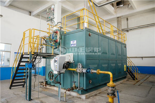 mc 低壓蒸汽固體燃料鍋爐