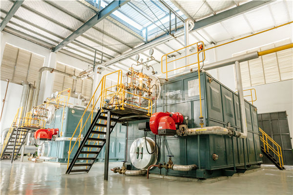 燃氣真空鍋爐循環水量