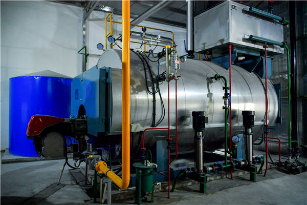 4噸的燃?xì)忮仩t